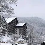 Apartment Dachstein 529 Bad Goisern