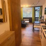 Dachstein 529 Apartment *