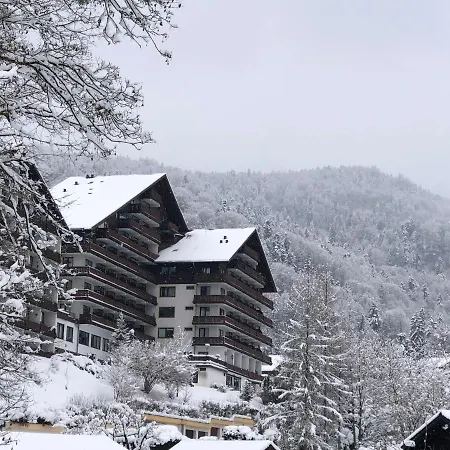 アパート Dachstein 529 バート・ゴイーザーン