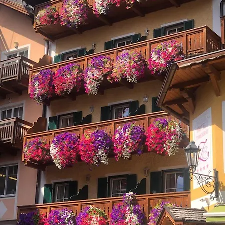 Dachstein 529 バート・ゴイーザーン