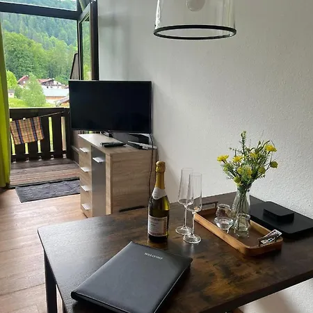 Dachstein 529 Apartment